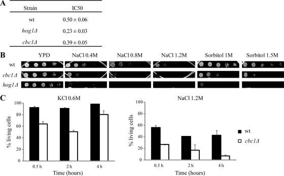 FIGURE 1: