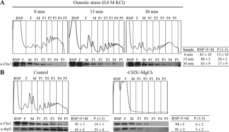 FIGURE 6: