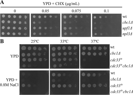 FIGURE 4: