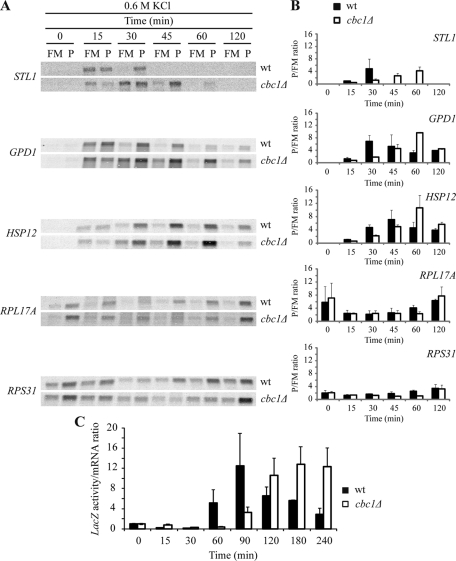 FIGURE 7: