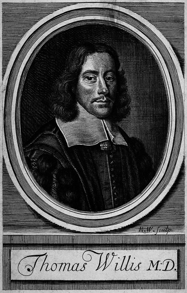 Thomas Willis (1621-1675).