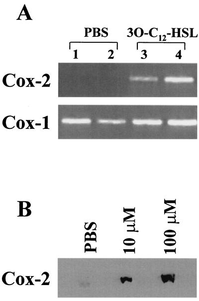 FIG. 5.