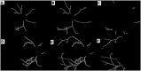 Fig 16
