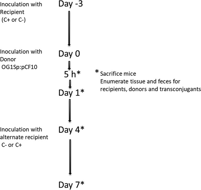 FIG 4