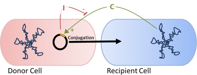 FIG 1