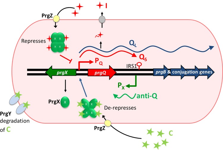 FIG 2