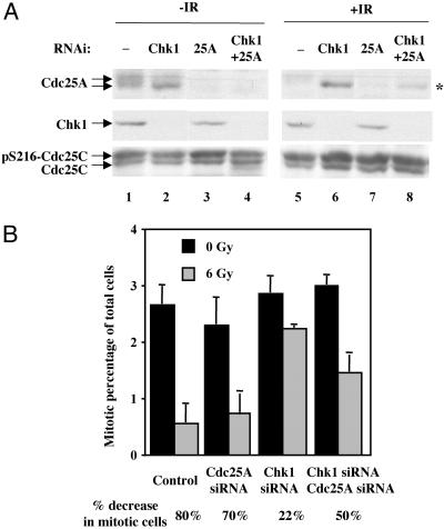 Fig 3.