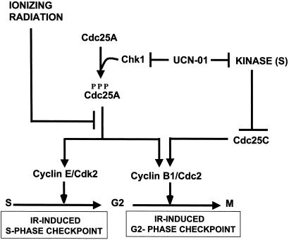 Fig 6.