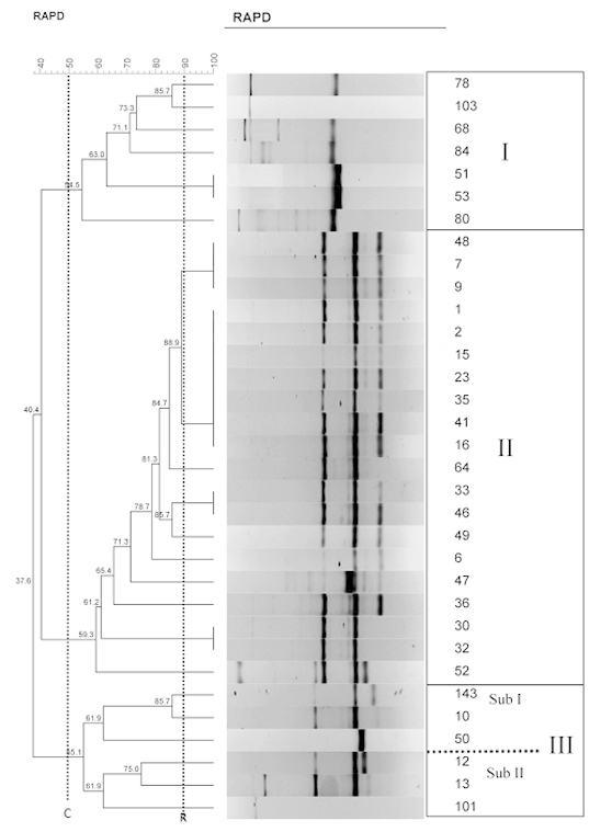 [Table/Fig-4]: