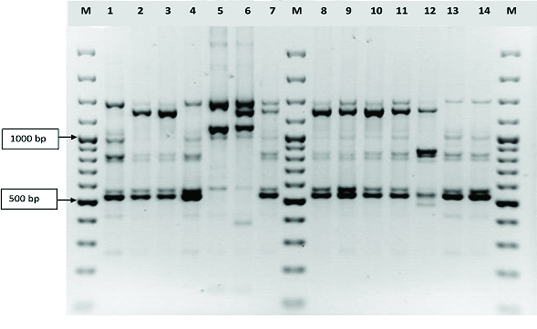 [Table/Fig-2]: