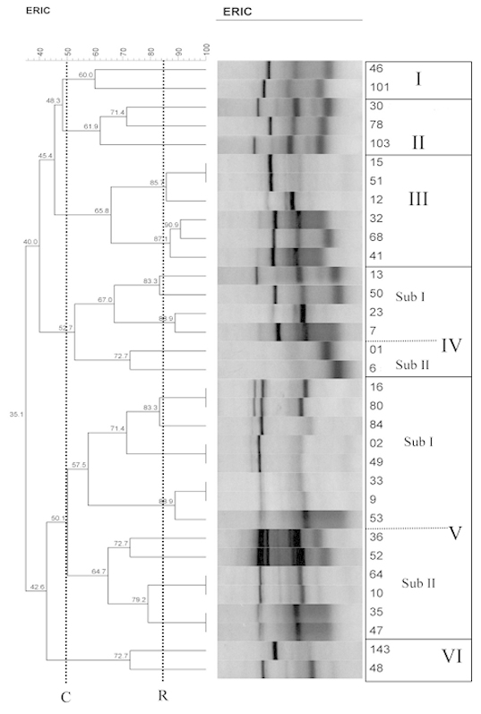 [Table/Fig-5]: