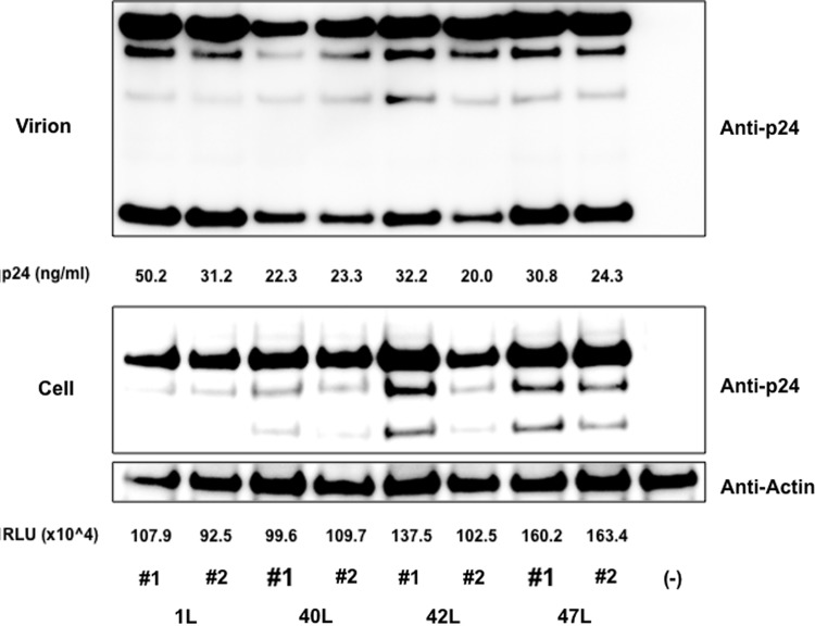 FIG. 7.