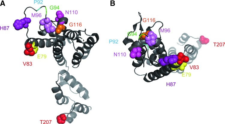 FIG. 3.