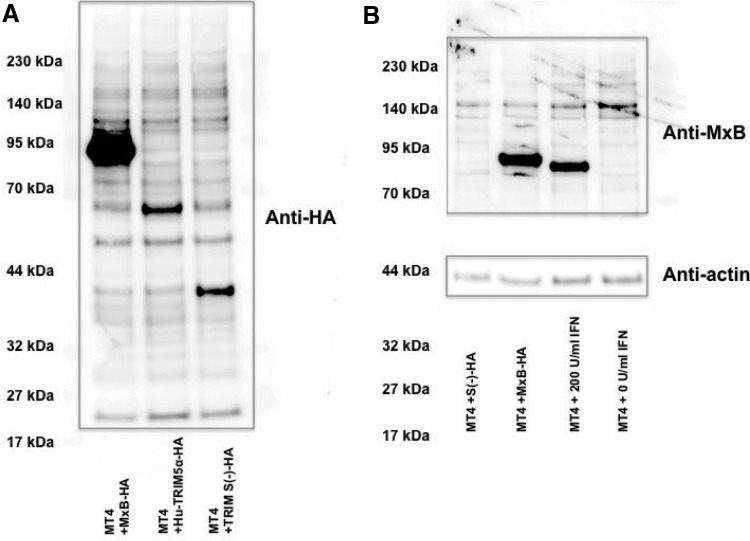 FIG. 6.