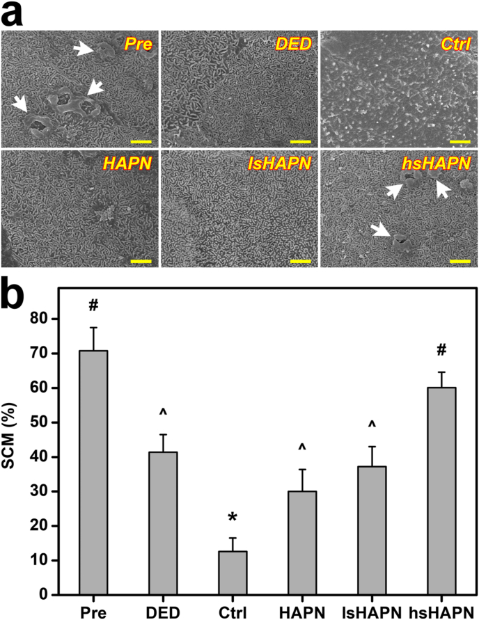 Fig. 7