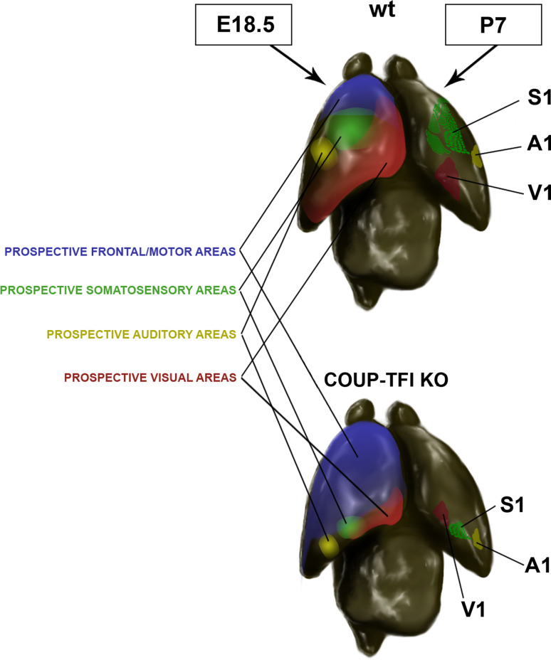 Fig. 6