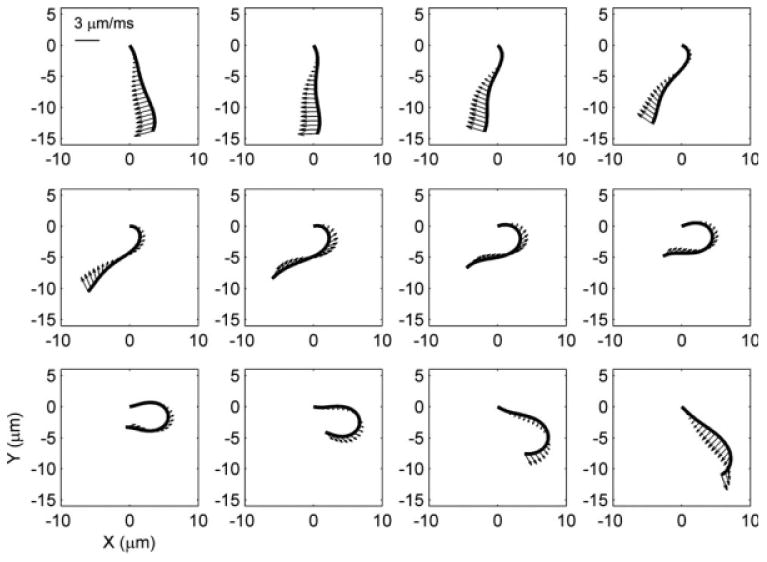 Fig. 11