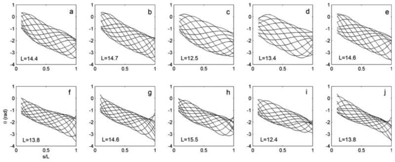 Fig. 7