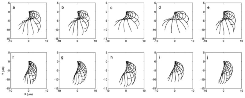 Fig. 6