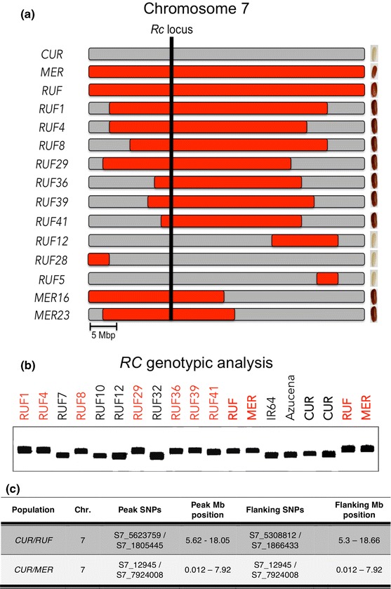 Fig. 4