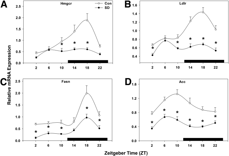 Figure 5