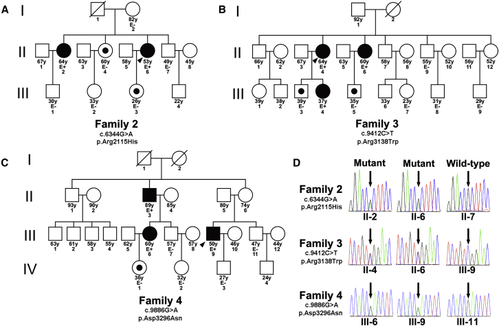 Figure 2