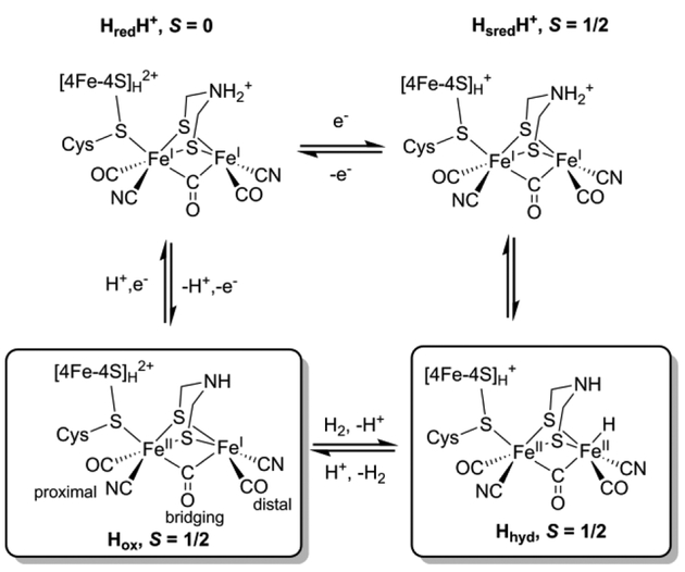 Scheme 1.