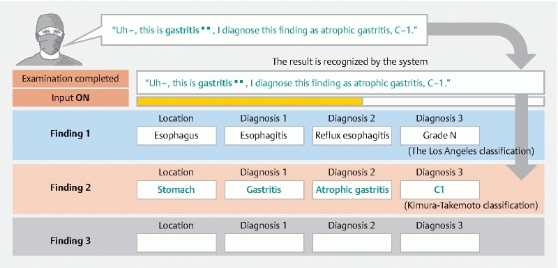 Fig. 3 