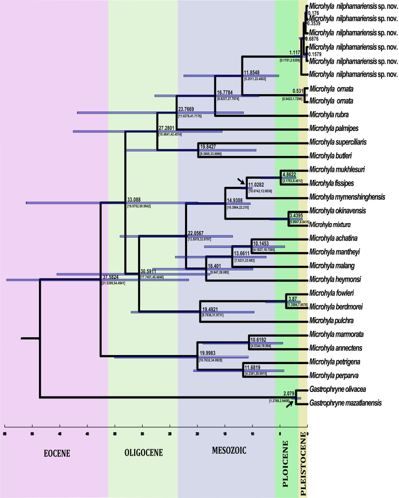 Fig 6