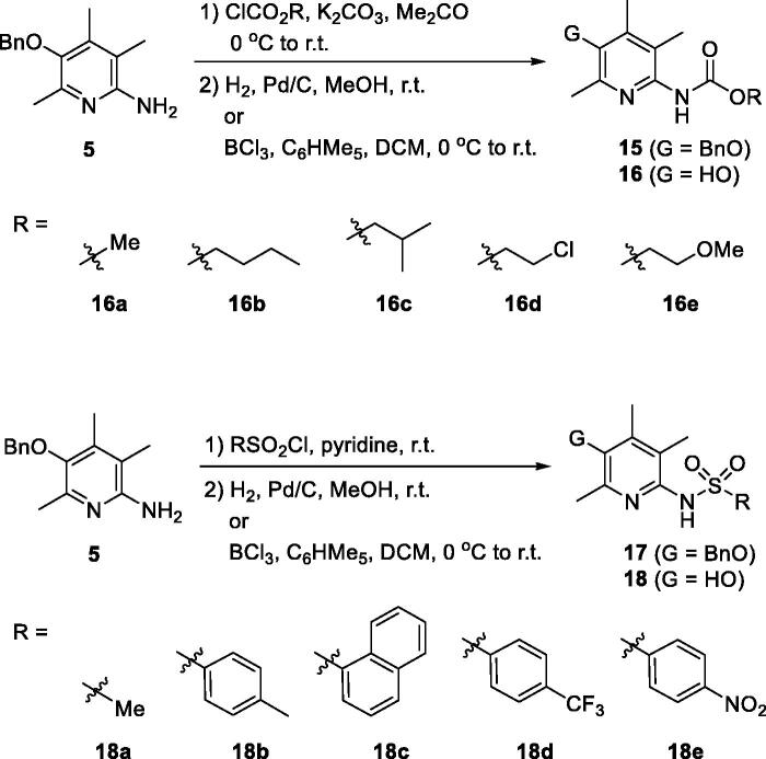 Scheme 3.