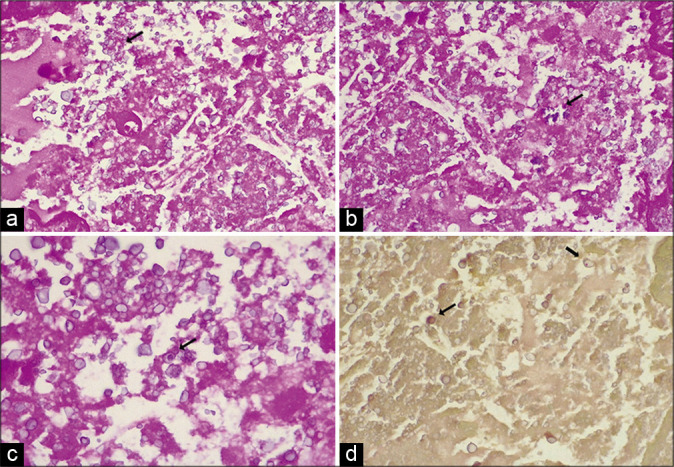 Figure 4: