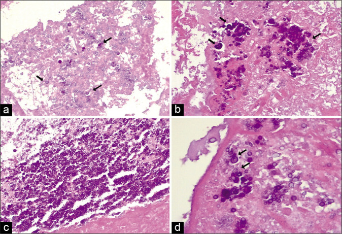 Figure 3: