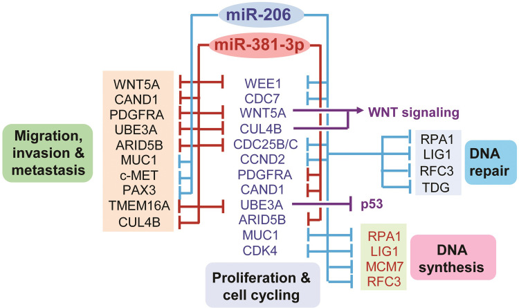 Fig 7