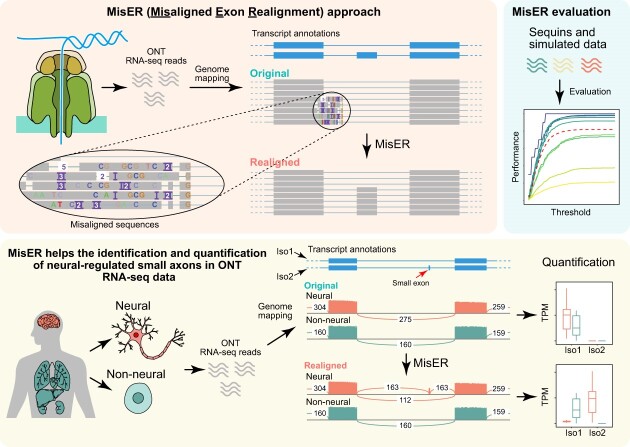 Graphical Abstract