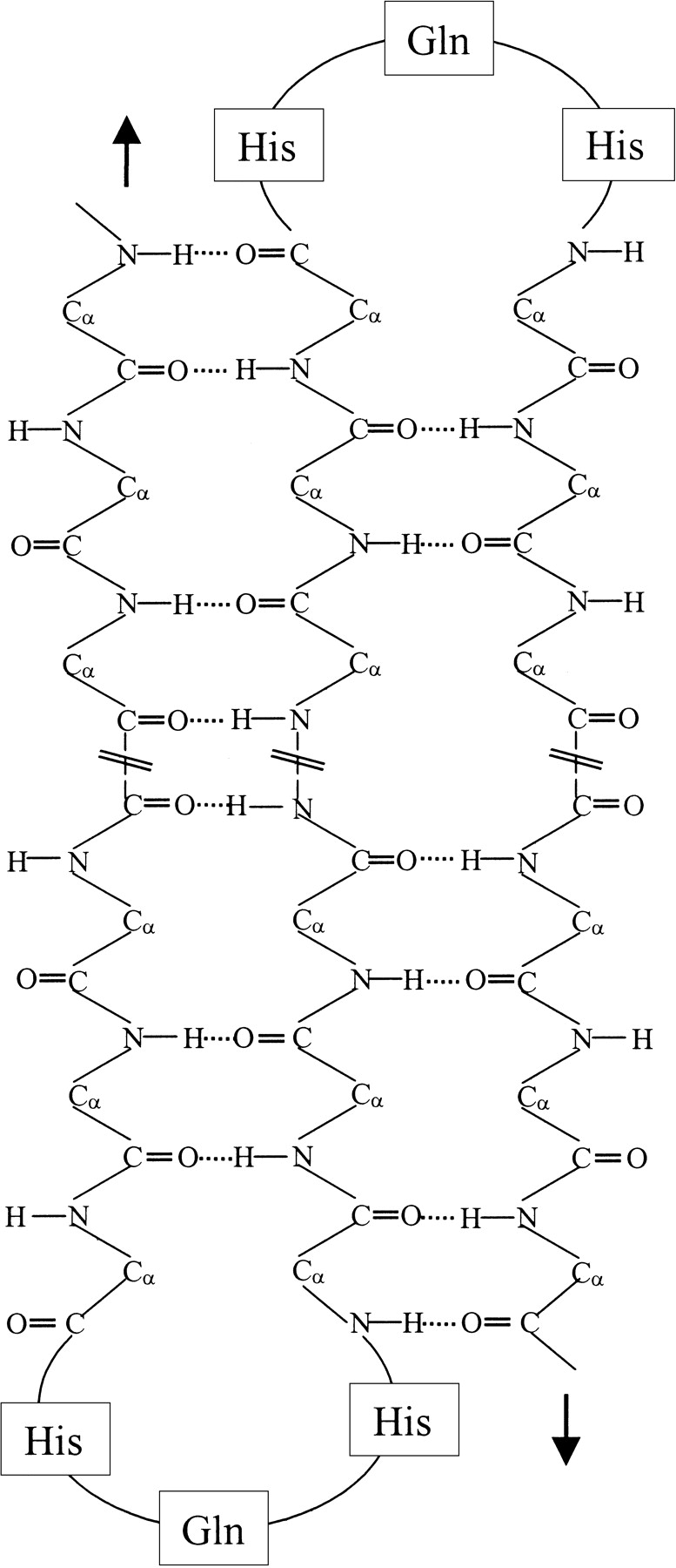 Figure 11.