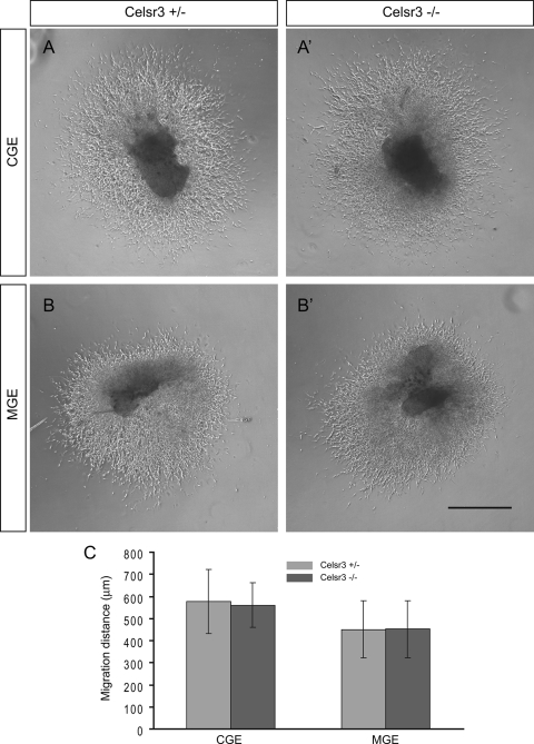 FIG. 11.