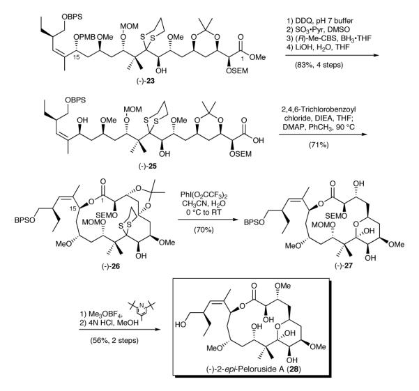 Scheme 5