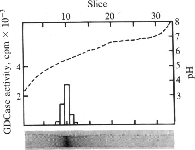 graphic file with name pnas00268-0063-c.jpg