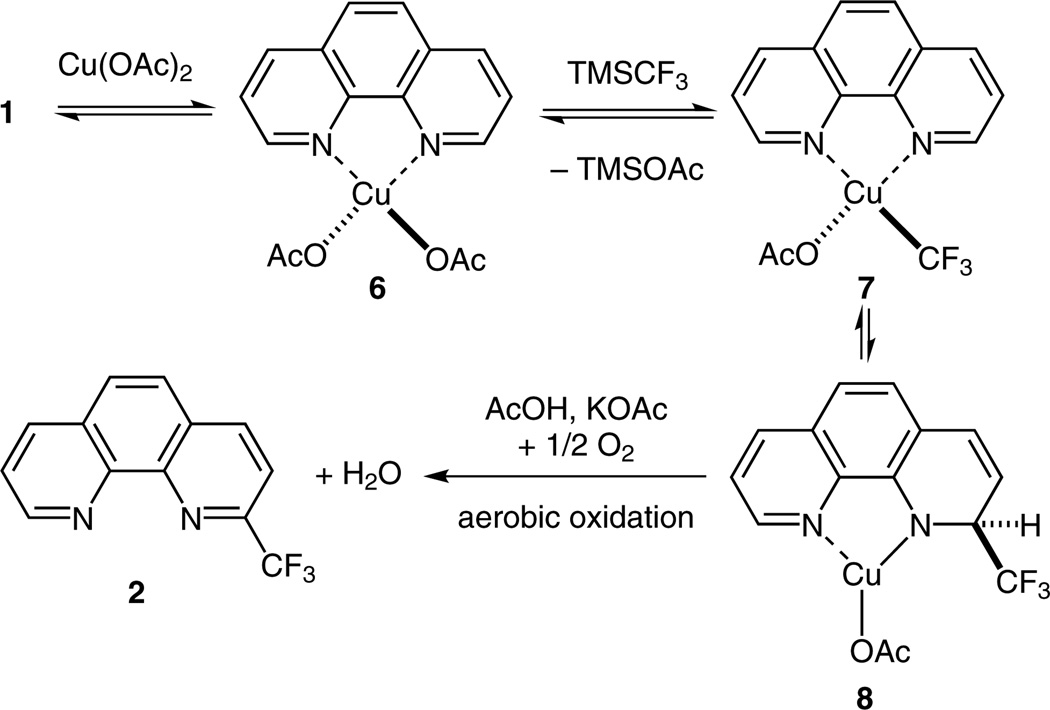 Scheme 3