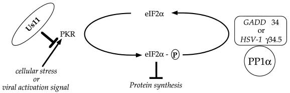 FIG. 8