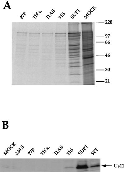 FIG. 6