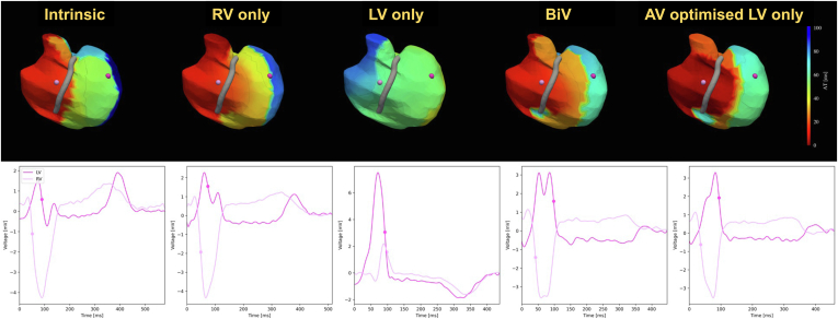 Figure 4