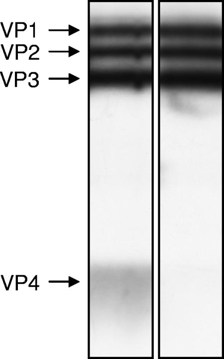 FIG. 9.