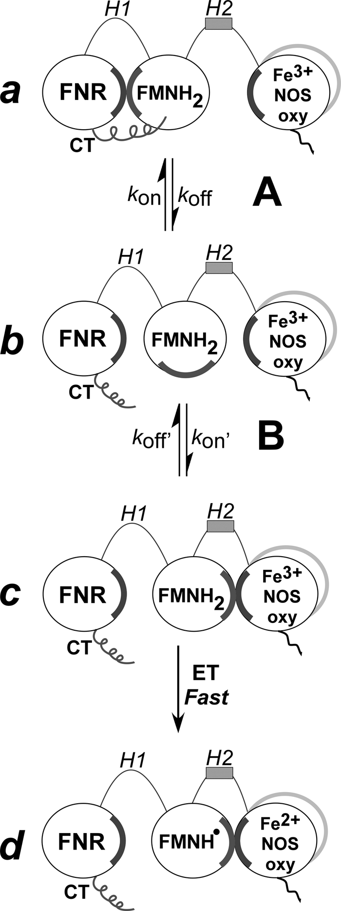 FIGURE 1.