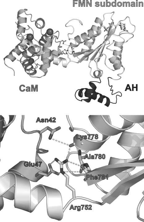 FIGURE 2.