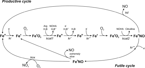 FIGURE 7.