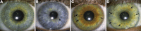 Figure 4