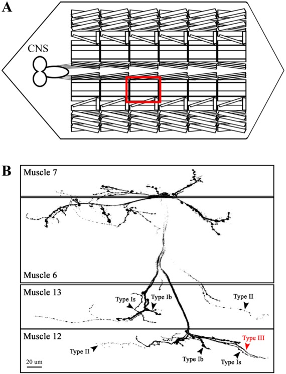 Fig. 2