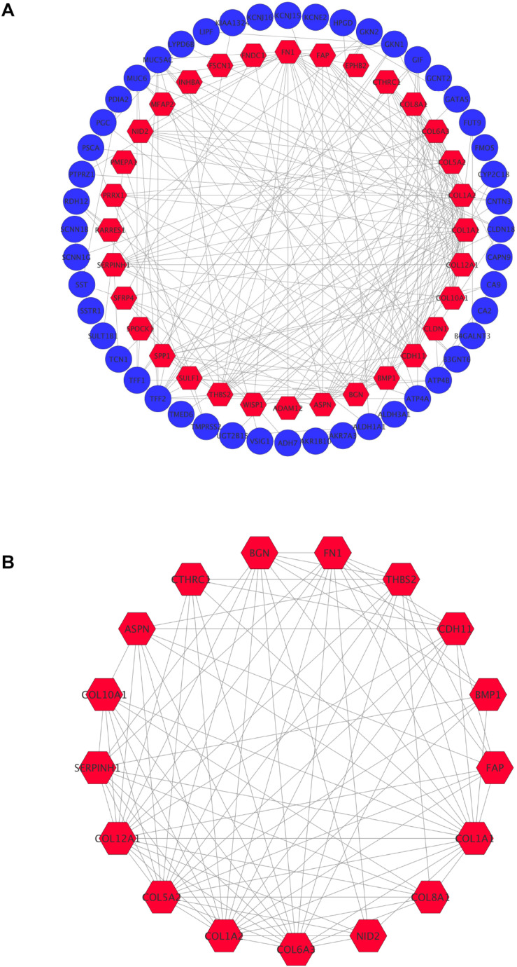 FIGURE 3