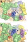 FIGURE 4.